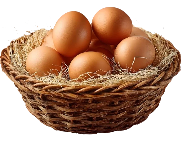 Köy Yumurtası Adet