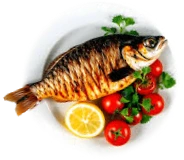 Balık ve Deniz Ürünleri