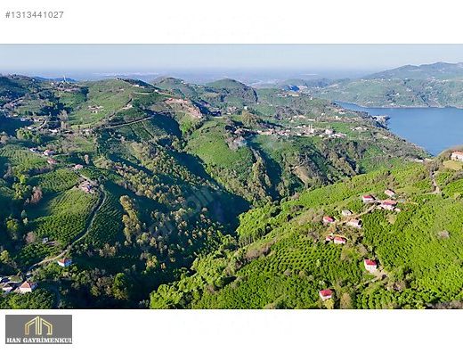 SÖĞÜTPINAR’DA EFSANE SATILIK ARAZİ