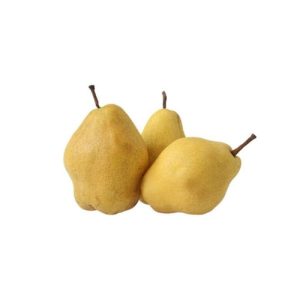 Armut Margarit